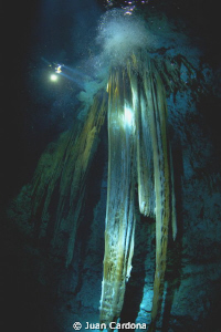 Moster House Chac Mool cenote ( bigest stalactite in the ... by Juan Cardona 